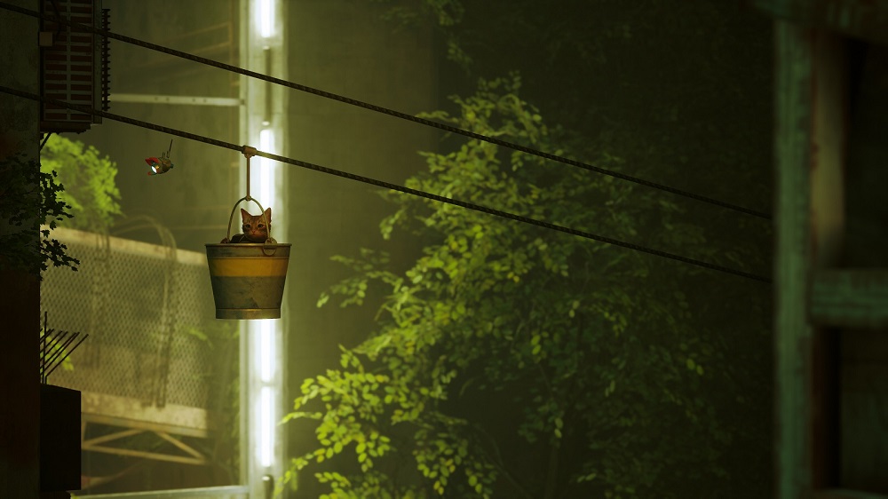 Stray برای چه کسانی مناسب است؟